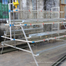 Chicken Cage for Laying/Broiler